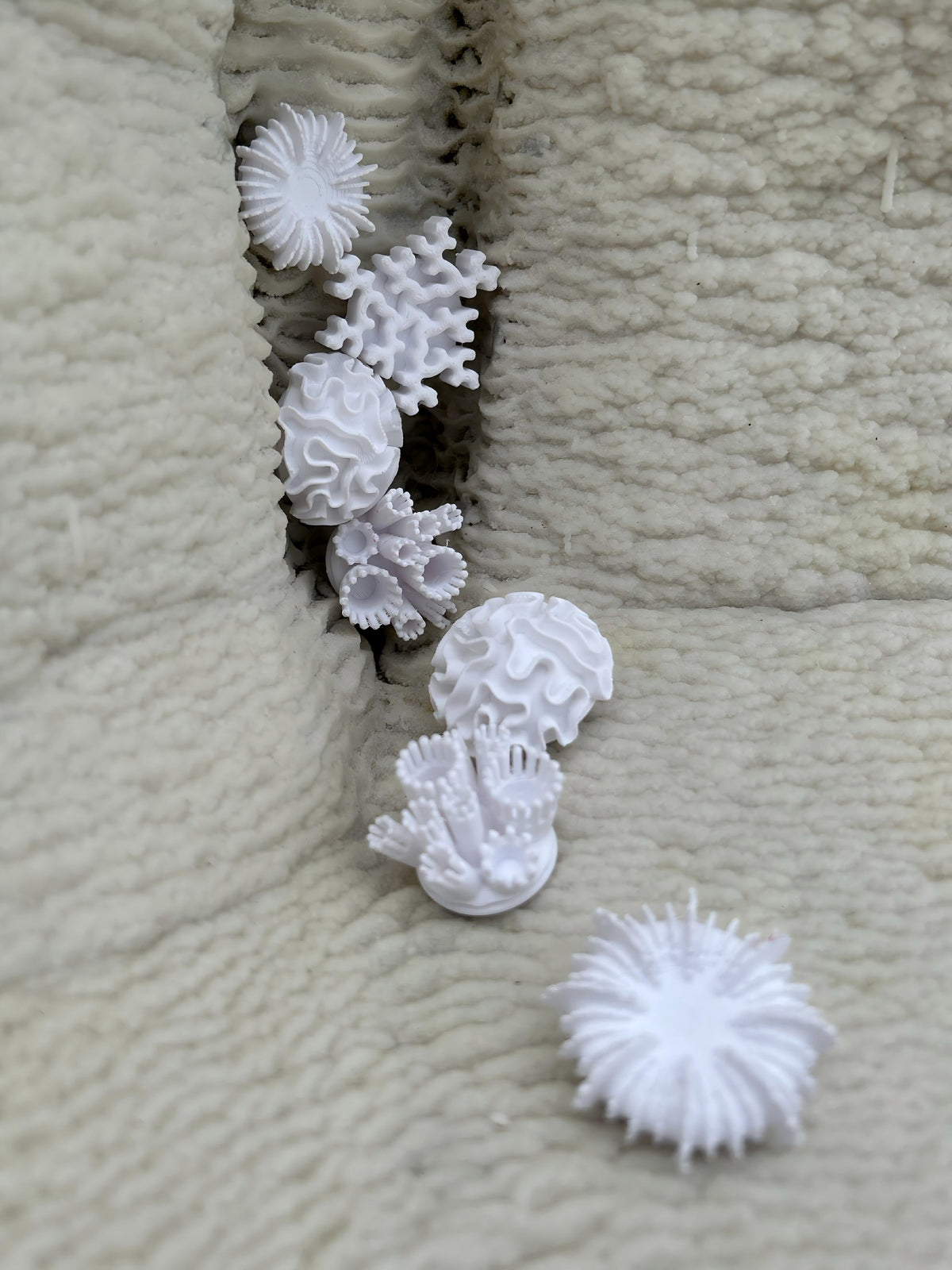 Coral Collection