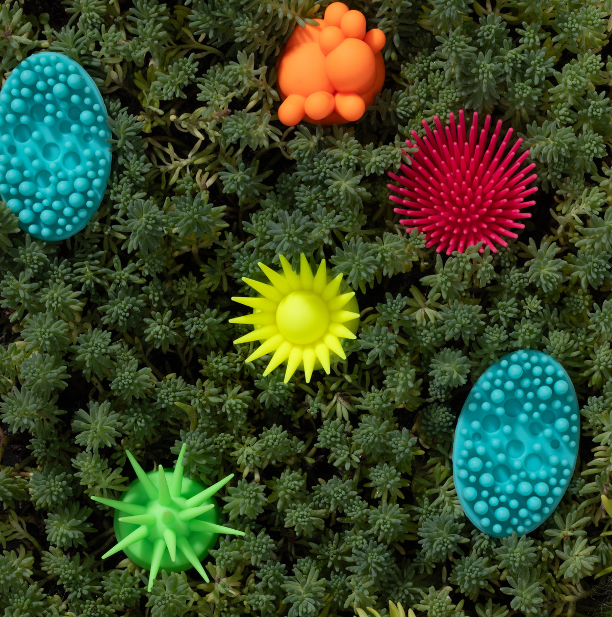 Summer Garden Collection